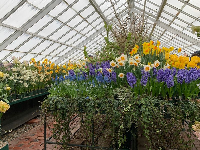 Talcott Greenhouse, South Hadley