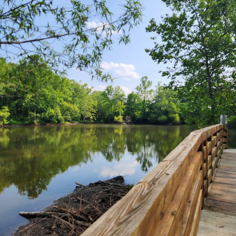 The Nolichucky River Gorge And Its World-Class Whitewater