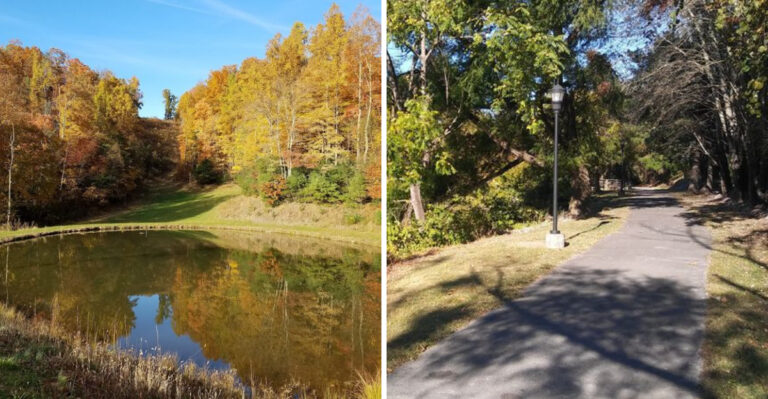 If You Love The Outdoors, You Owe It To Yourself To Visit This Incredible Small Town In Tennessee In 2026