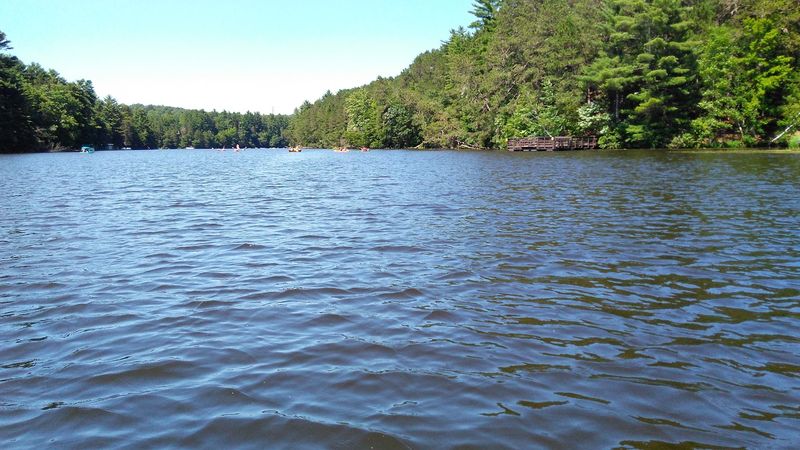 Wildlife Habitats Supported By Scenic Wisconsin Lakes