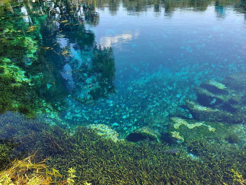 Seasonal Changes Affecting Water Clarity Levels