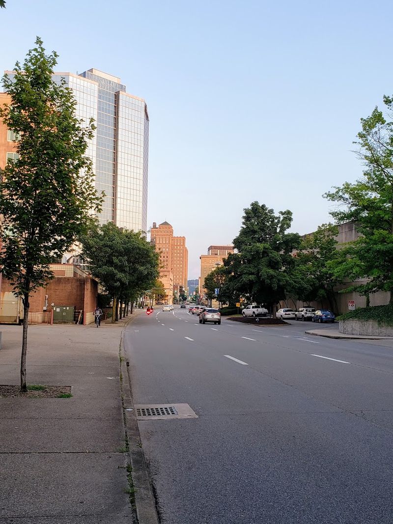 Resident Sentiments On Neighborhood Change
