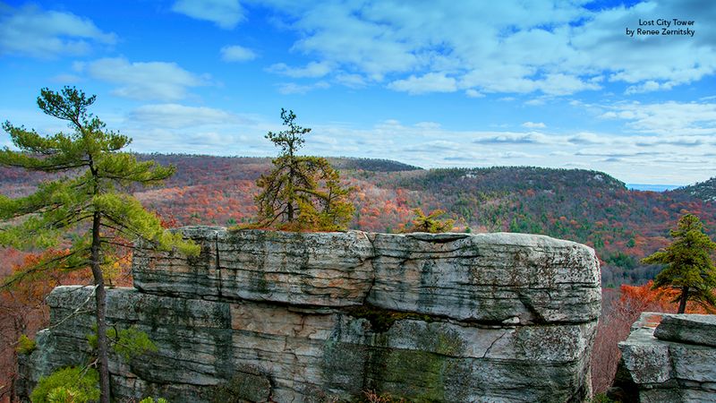 Mohonk Preserve Lemon Squeezer