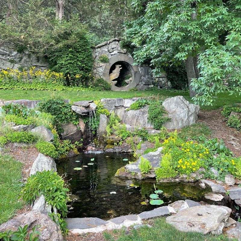 Cup Gardens And The Art Of Designing With Nature