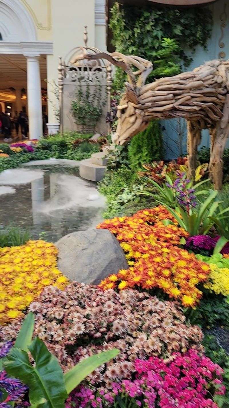 The Living Plant Material Is Replanted Or Repurposed Where Possible