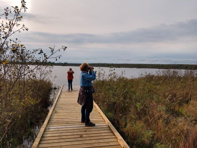 The Area Protects Sensitive Plants And Wetland Habitat