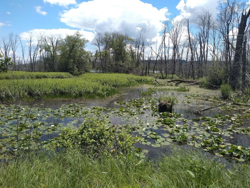 Wetlands, Prairies, Forests, And Open Water Shape The Landscape