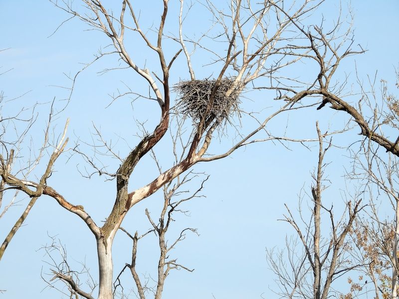 It Was Created As A Refuge And Breeding Ground For Migratory Birds