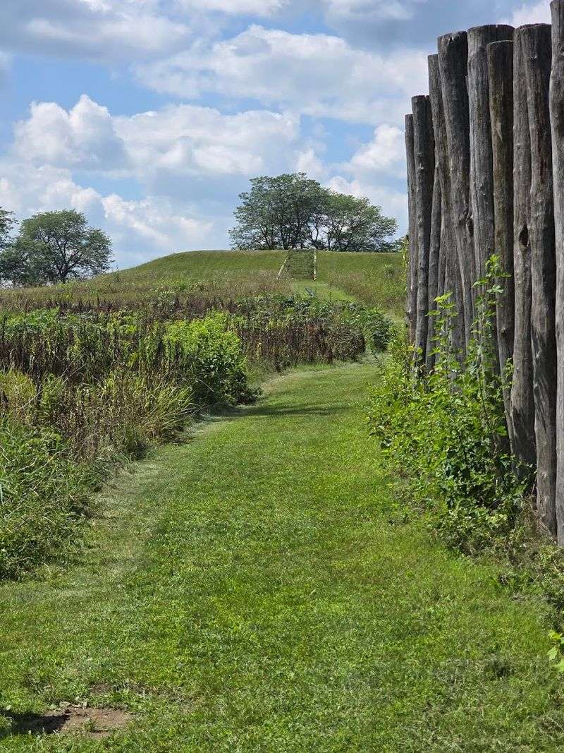 The Park Blends Quiet Trails With Ancient Mystery