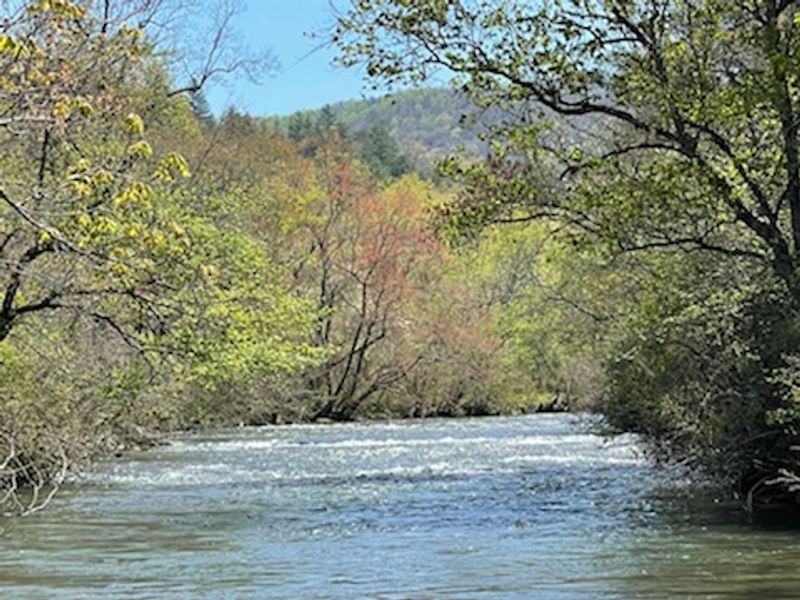Morganton