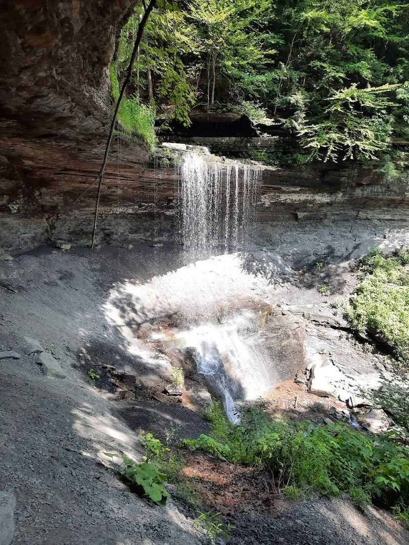 Tinker Falls Trail