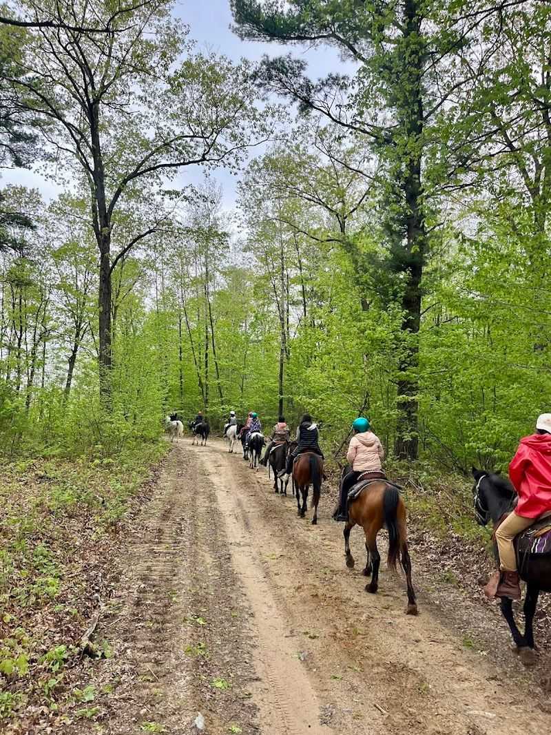 Wilderness Pursuit Horseback Adventures (Clark County Forest)