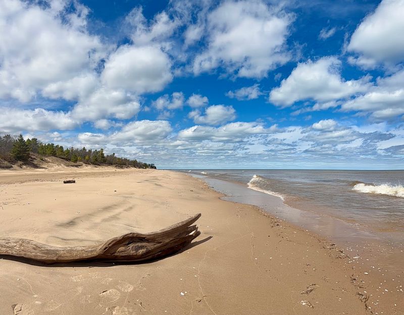 Point Beach State Forest, Two Rivers