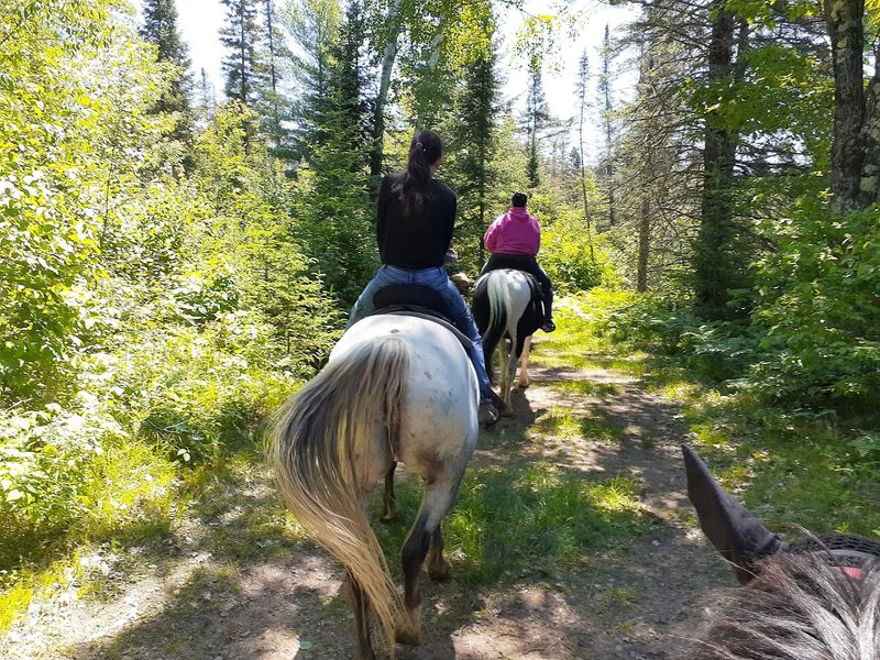 Spider Lake Ranch Riding Stable (Hayward)
