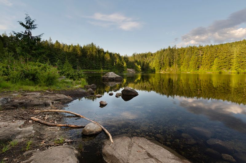 Heart Lake Loop Trail