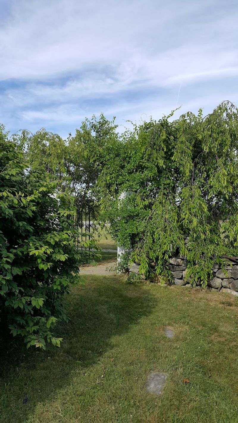 The Shrewsbury Secret Garden That Defies Explanation
