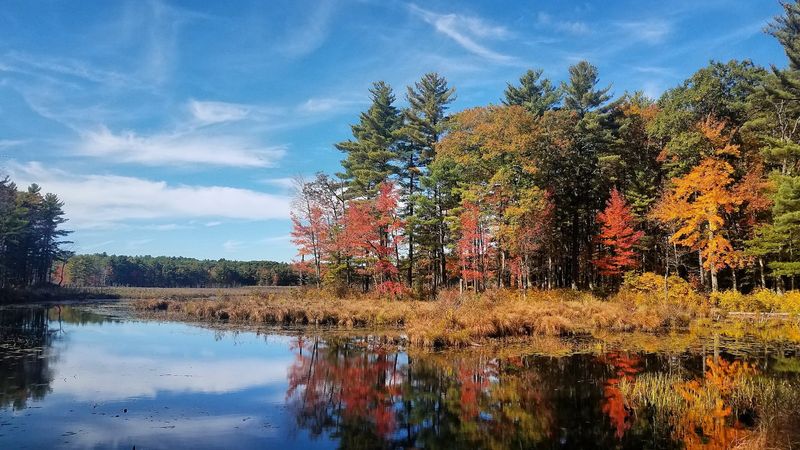 Hickory Hills Lake Offers Space And Serenity