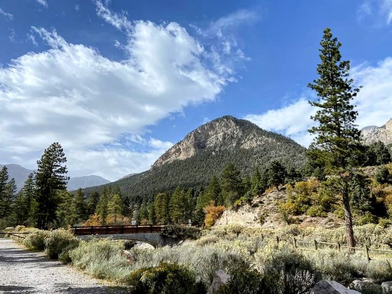 Fletcher View Campground (Mount Charleston)