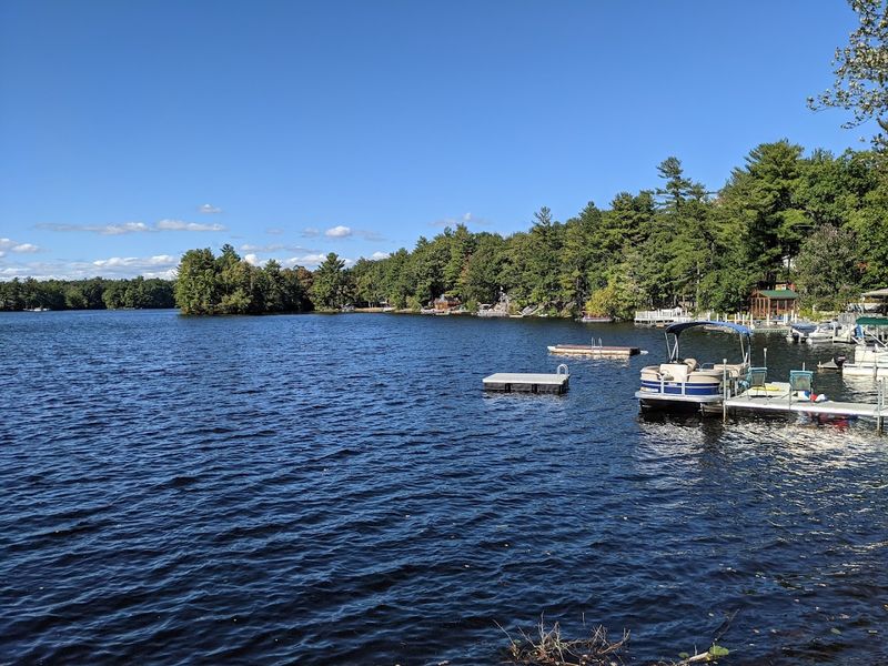 Lake Shirley Brings The Energy