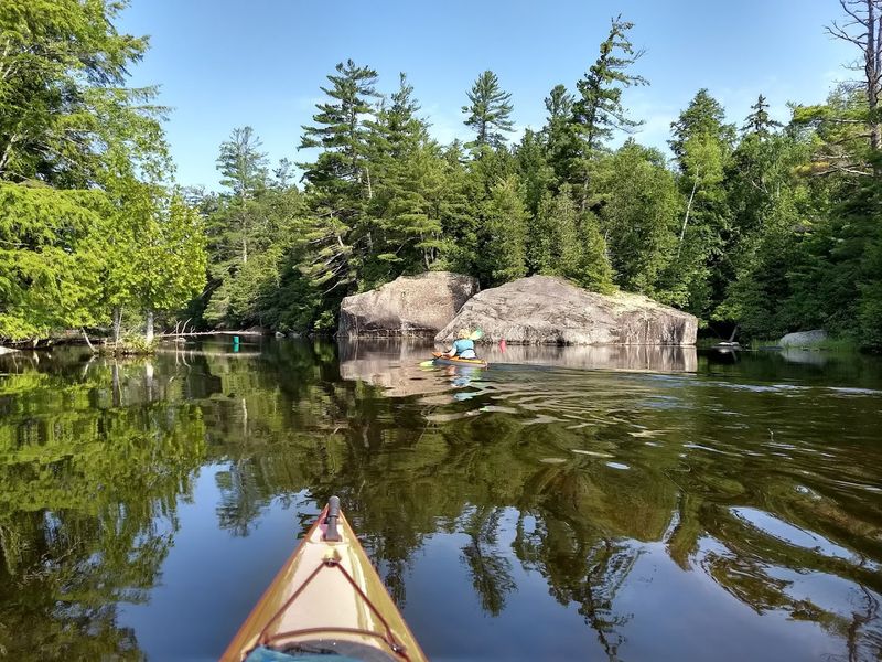 Wildlife Observation Without The Crowds