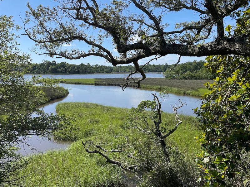 Davis Bayou Campground