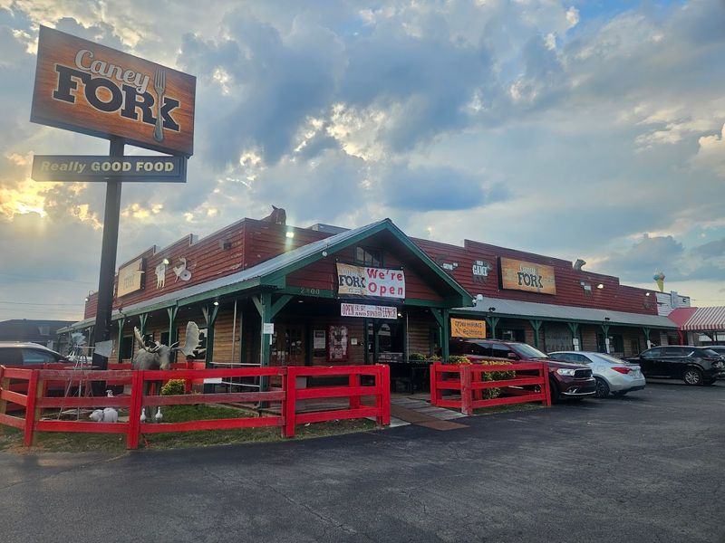 Practical Tips For Planning A Visit To This Nashville Spot