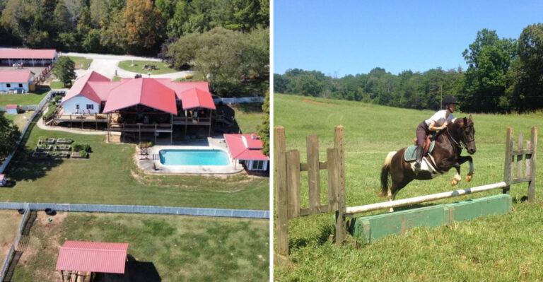 Live Your Cowboy Dreams In 2026 At This Scenic Tennessee Ranch Escape