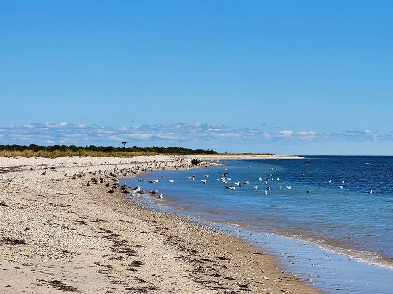 Orient Beach State Park