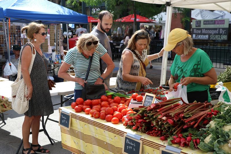 Farm To Table Ingredients That Elevate Home Cooking