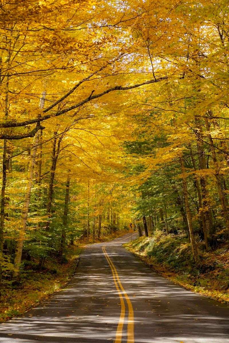 Best Times Of Year To Experience The Route