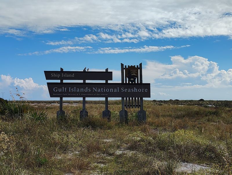 Conservation Efforts And Environmental Protection