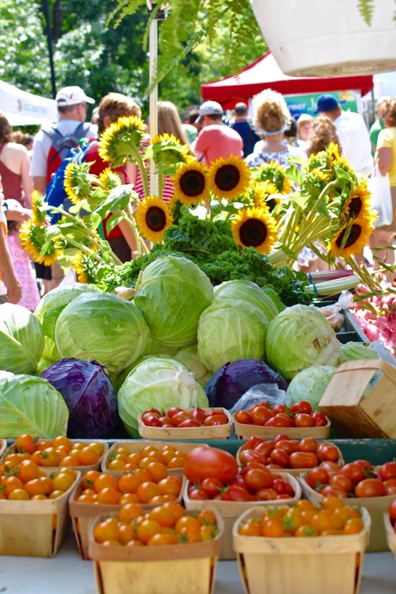 A Market Worth Planning Around Again