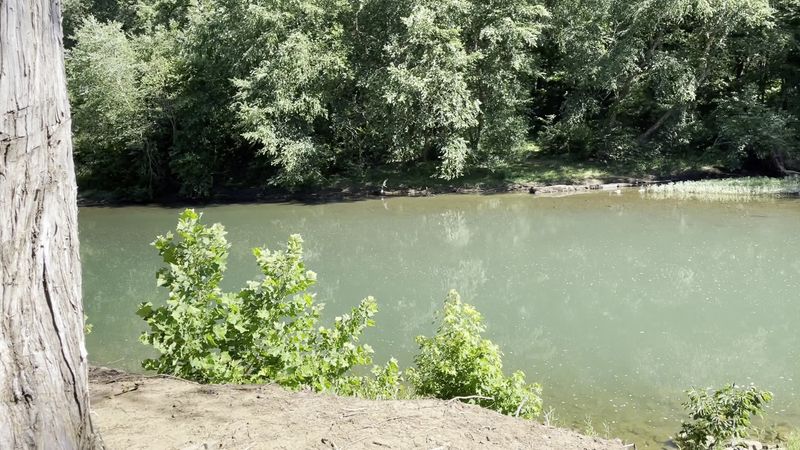 Benefits Of Spending Time Near Fresh Water