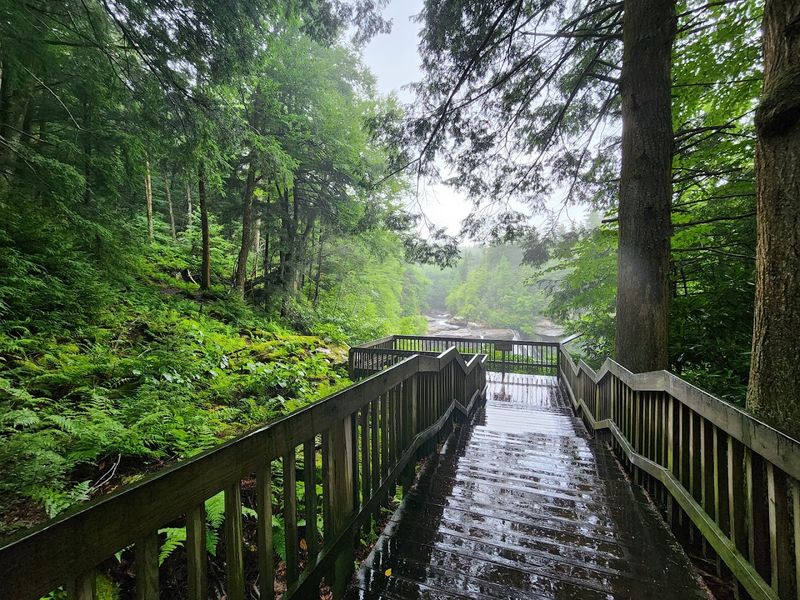Conservation Efforts To Protect The Waterfall Habitat