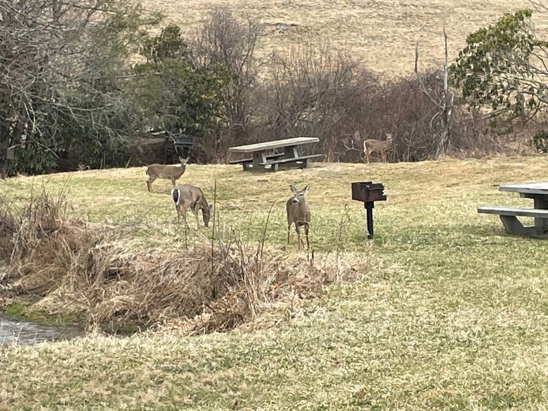 Recommended Stops And Picnic Areas On The Drive