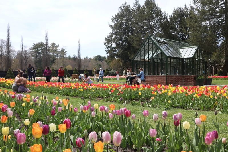 Massachusetts Horticultural Society - Garden At Elm Bank, Wellesley