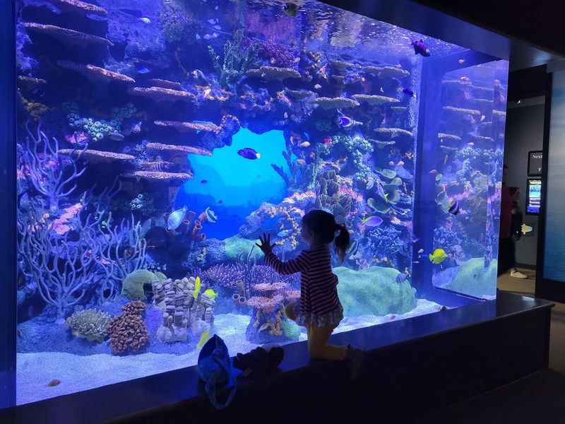 Tennessee Aquarium, Chattanooga