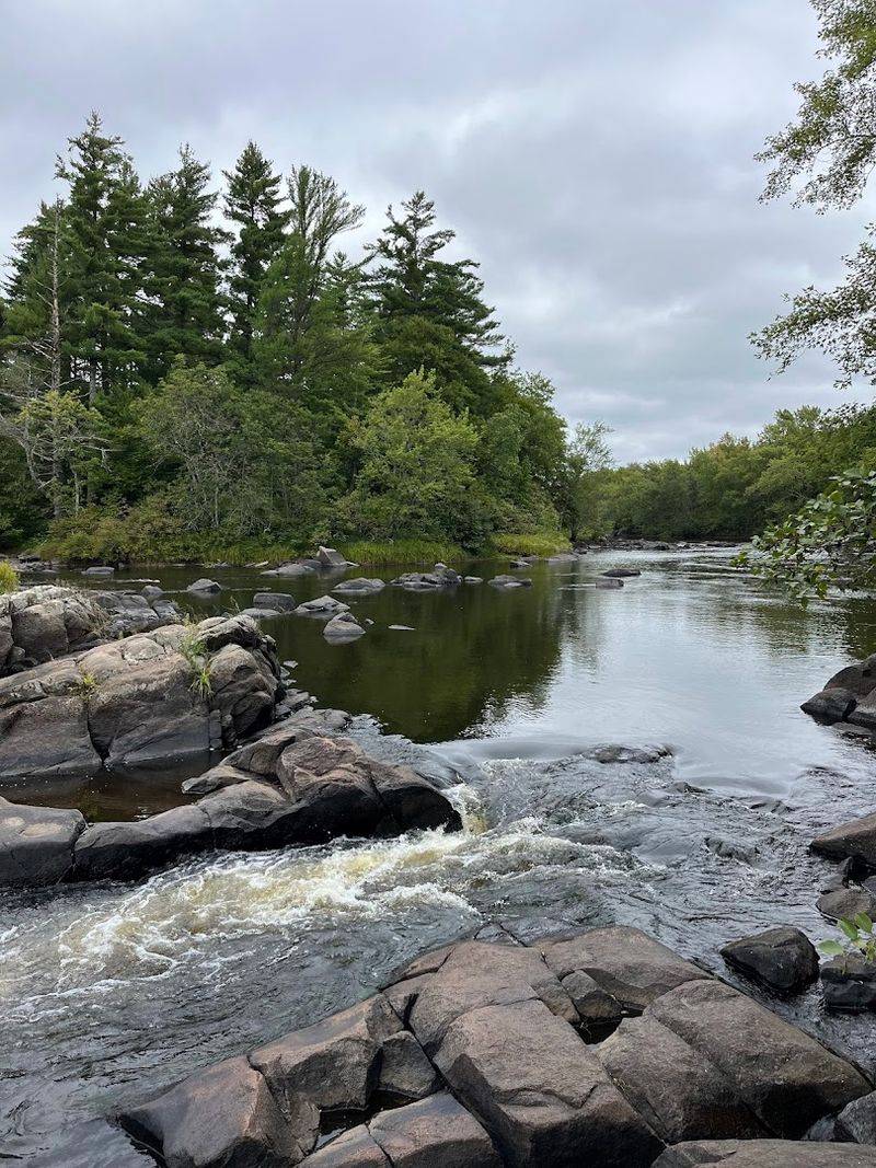 Flambeau River State Forest (Near Winter)