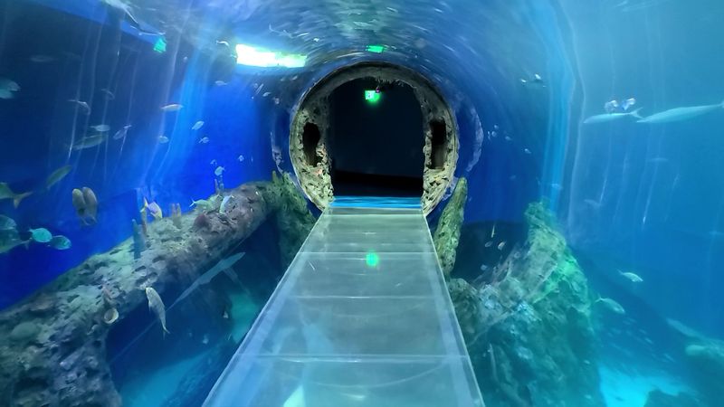 Mississippi Aquarium