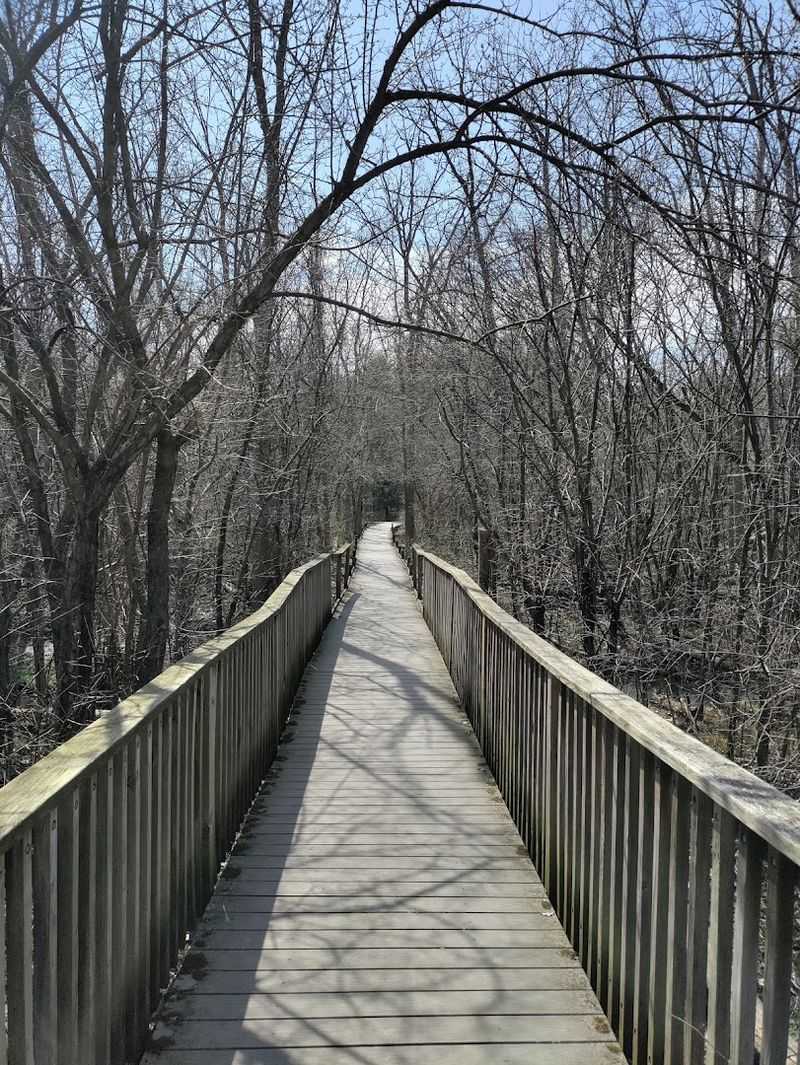 Boardwalk, Gravel, Dirt, And Woodchips Keep The Walk Interesting