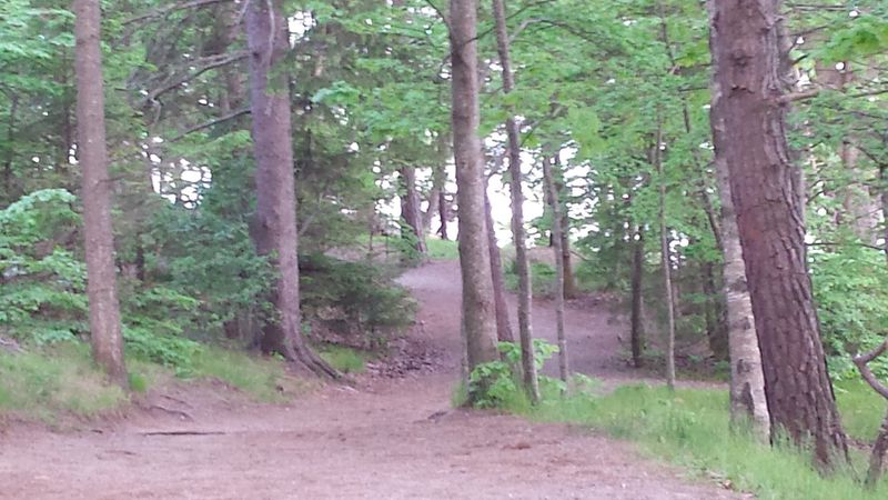 Mackworth Island Trail