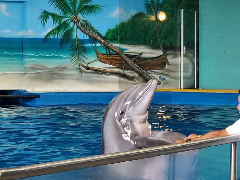 Ocean Adventures Marine Park
