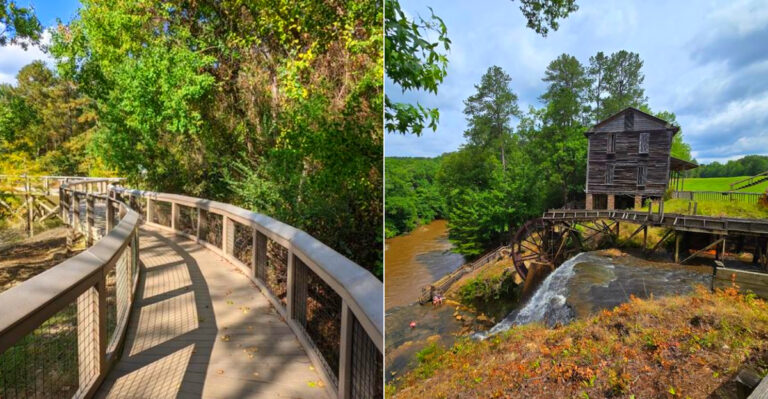 Mississippi Hikes You Need To Do This Season That Have A Wildly Good Payoff For The Shortest Miles
