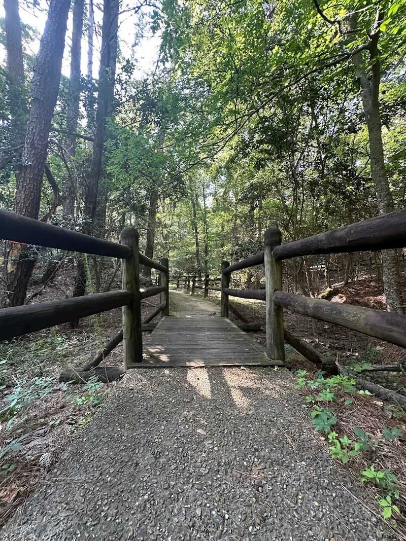 The Self-Guided Nature Trail That Walks You Through 36 Million Years