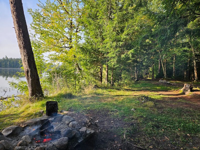 NYS Forest Campground At Floodwood Road