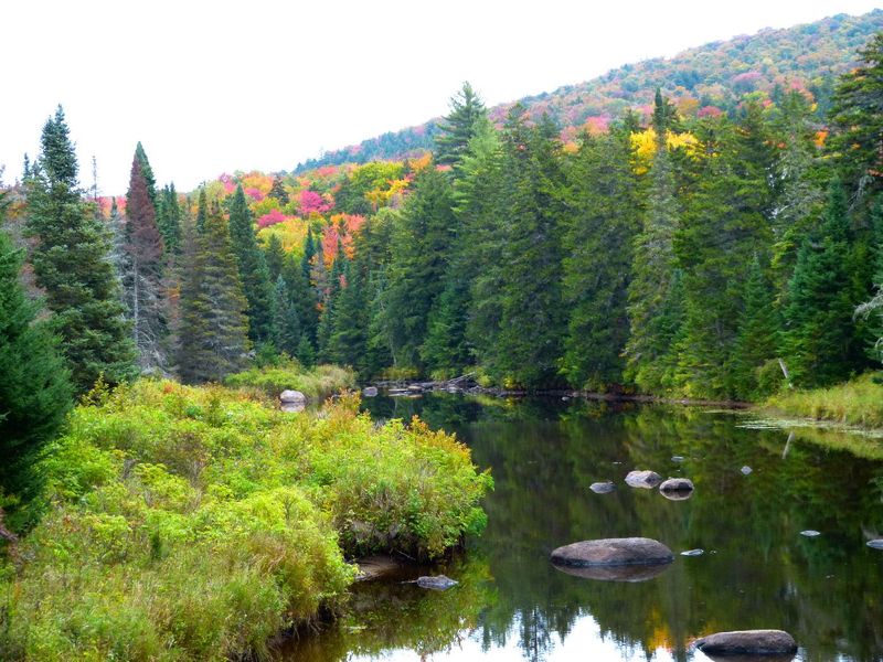 Siamese Ponds Wilderness