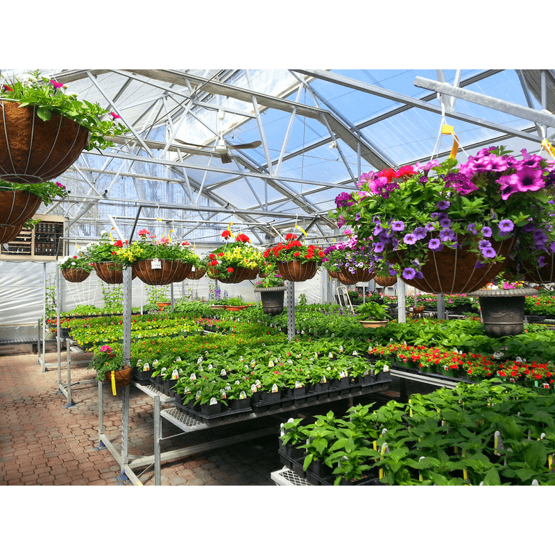 Hanging Baskets Are One Of The Biggest Draws