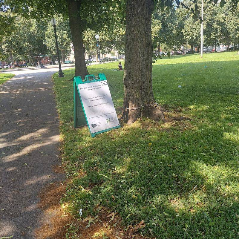 The Playground Corner And Why Families Keep Returning