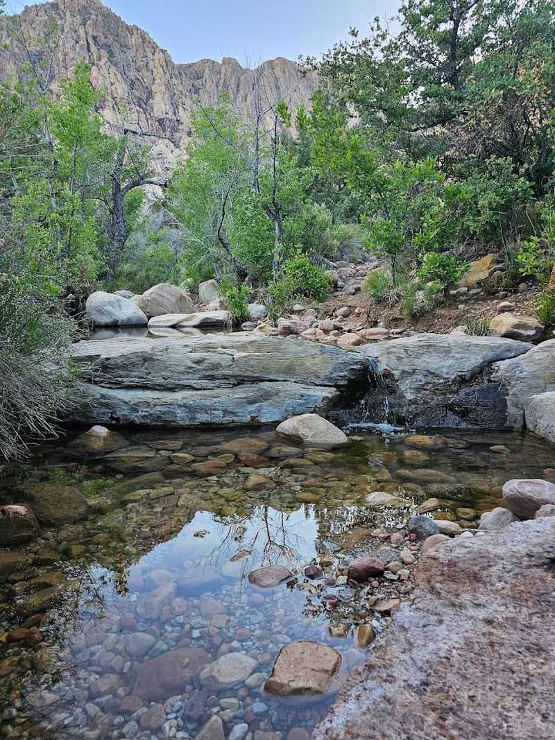 First Creek Canyon Trail, Red Rock Canyon