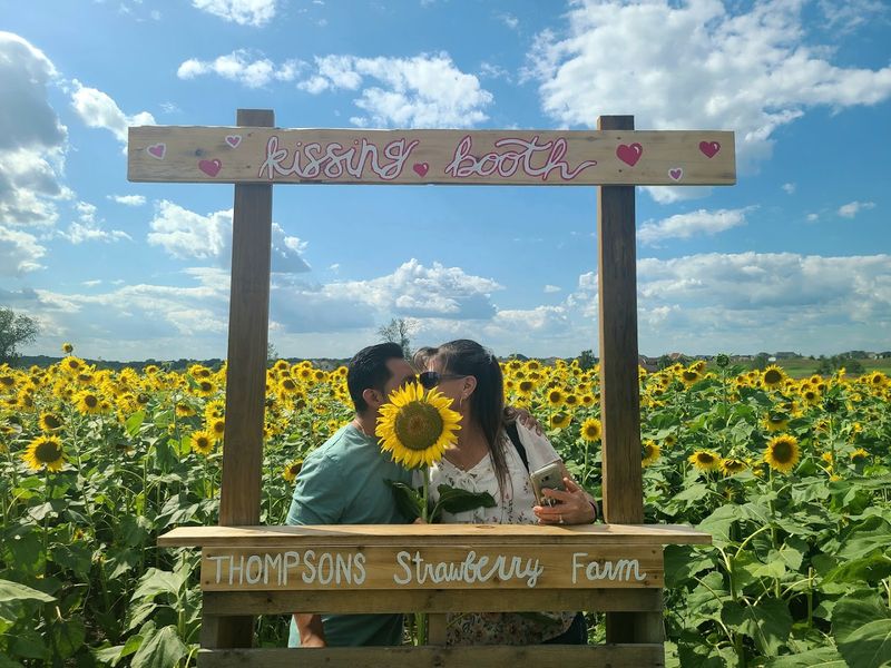 The Field Is Designed For Easy Wandering And Photo Stops